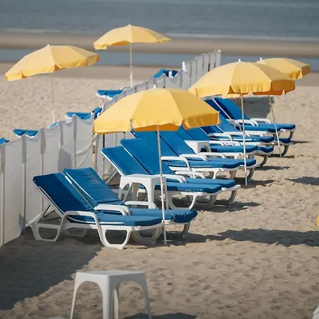 On Belgian Coast With Sea View