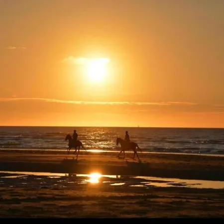 On Belgian Coast With Sea View Lägenhet De Haan